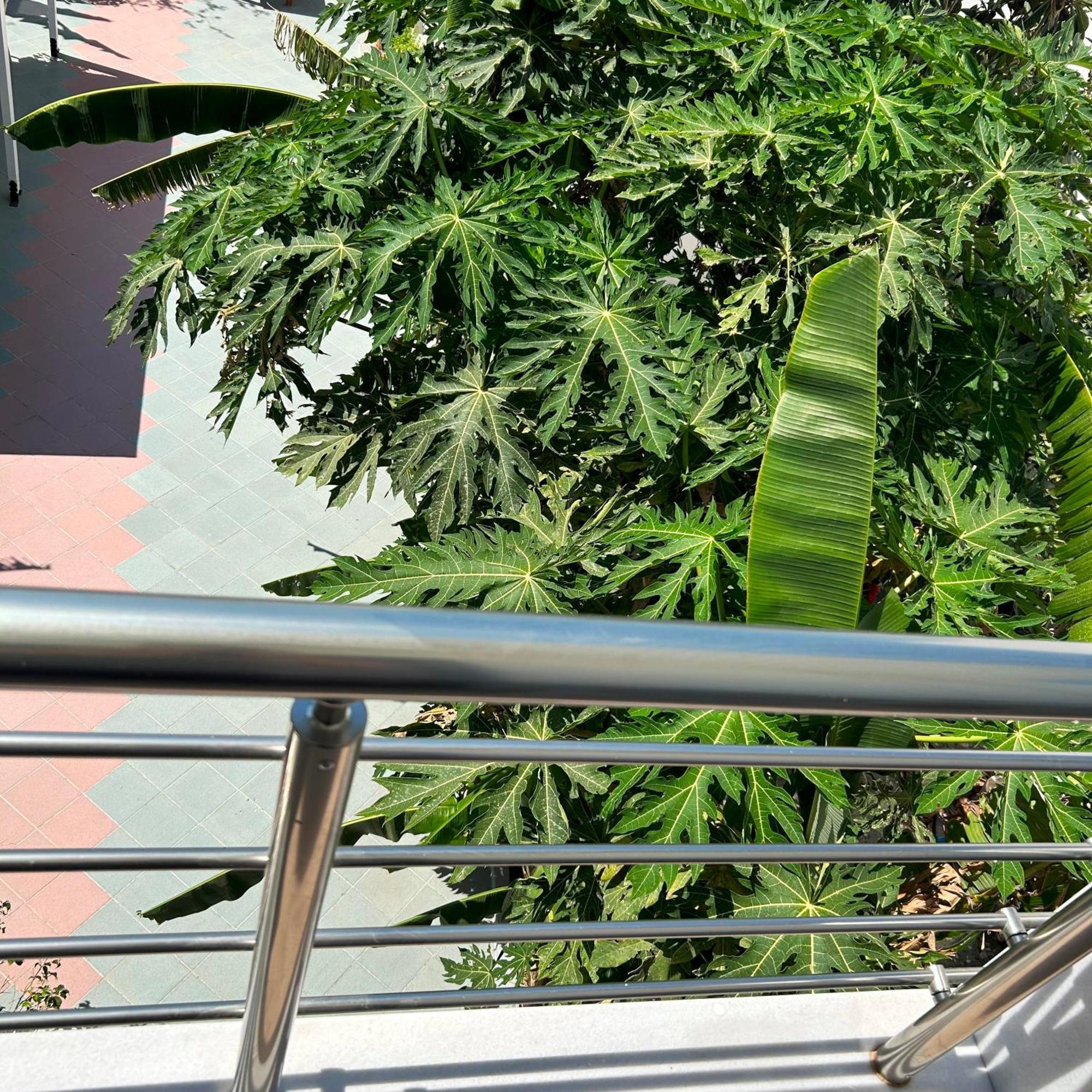 Sea Breeze Hotel Mastihari Exterior photo