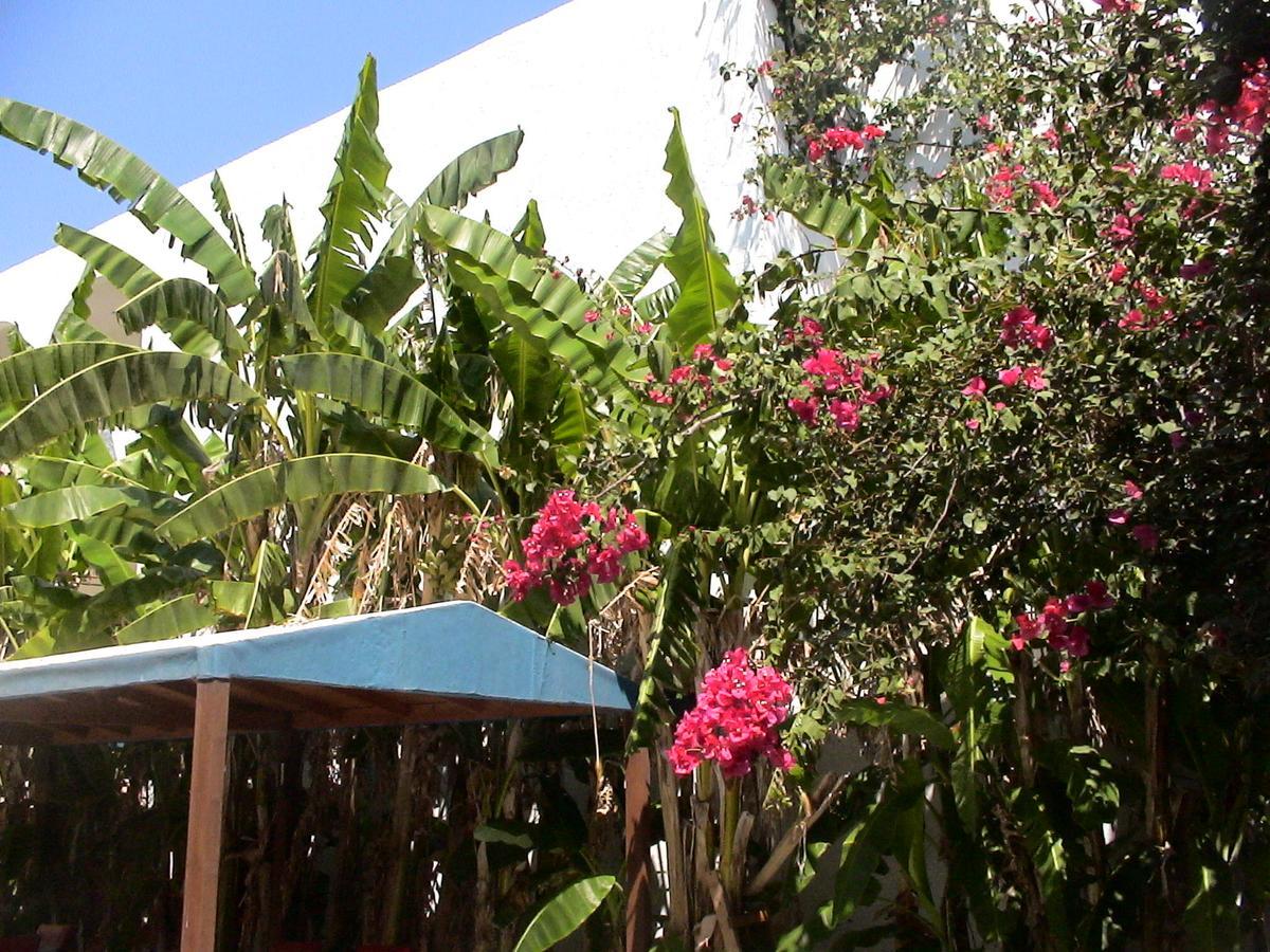 Sea Breeze Hotel Mastihari Exterior photo